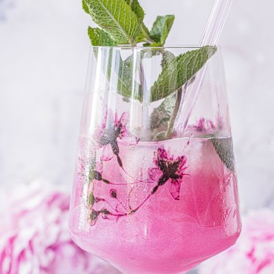 Dragonfruit Spritz | Drachenfrucht Spritz-7